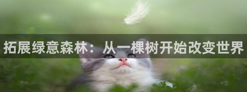 天顺娱乐平台App