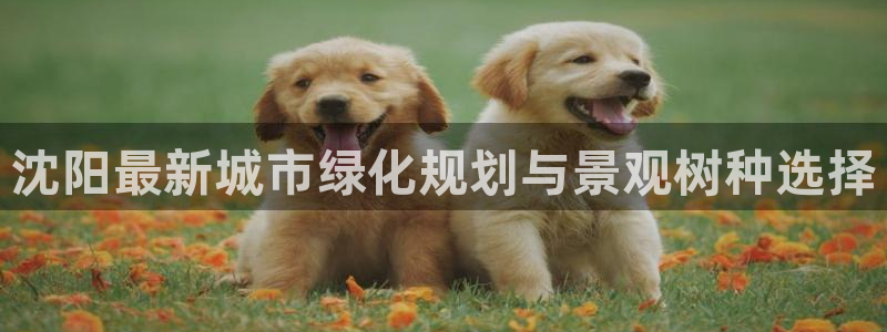 天顺娱乐痛砂70648