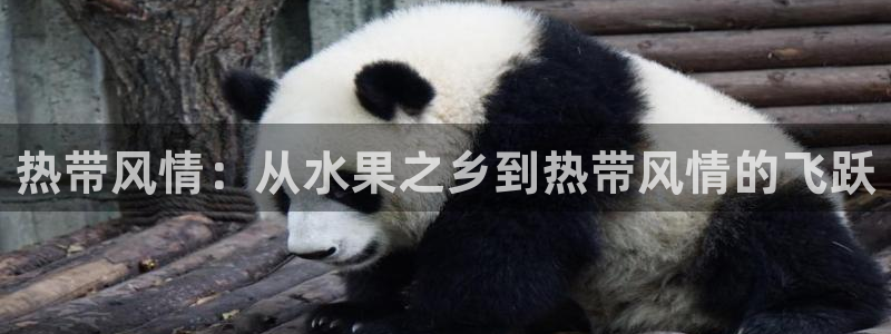 天顺娱乐主管多