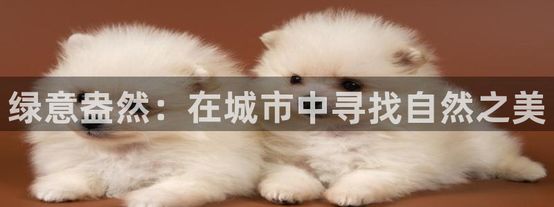 天顺娱乐脱943994