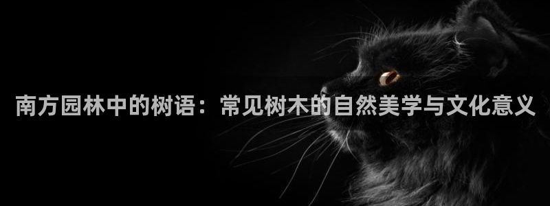 天顺娱乐罒金手指排名5