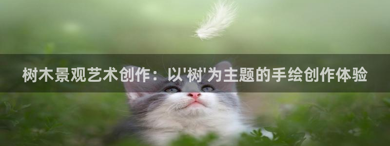 天顺娱乐 53339主e管