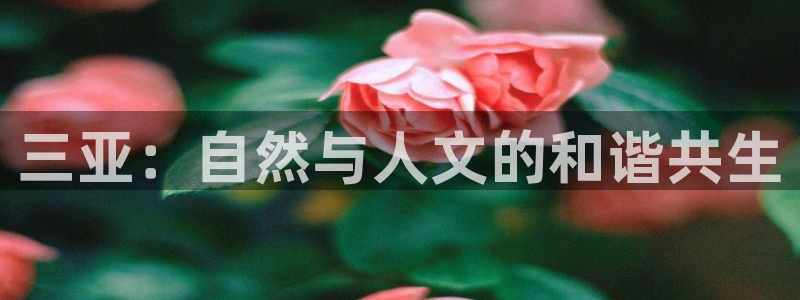 天顺娱乐漆勉p官29999