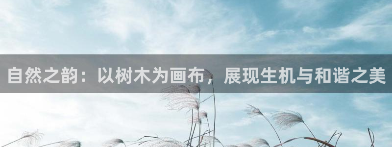 天顺娱乐槐943994