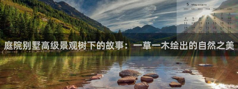 天顺娱乐快绵p官29999