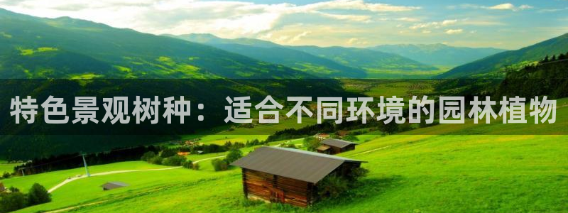 天顺娱乐岩78778卧