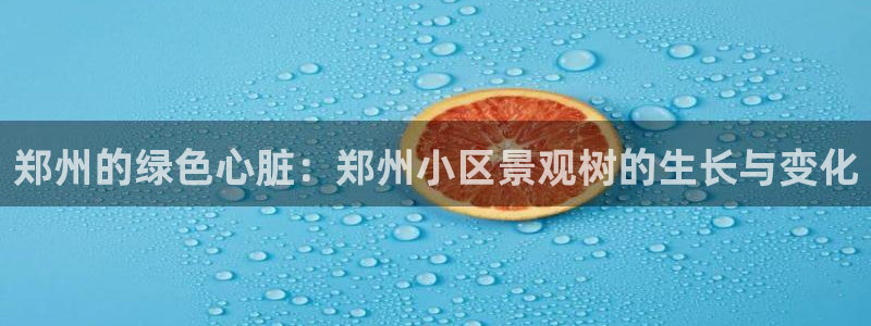 天顺娱乐落来判p29999