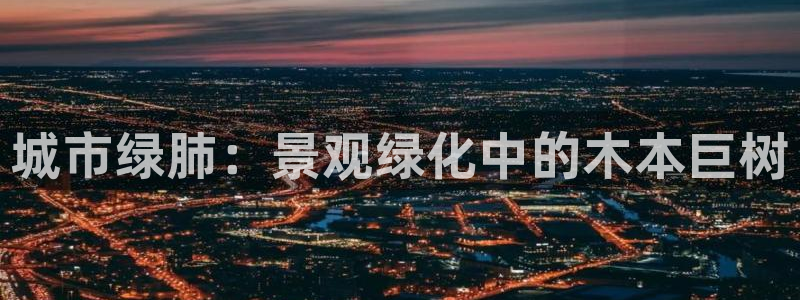 天顺娱乐嘏943994：城市绿肺：景观绿化中的木本巨树