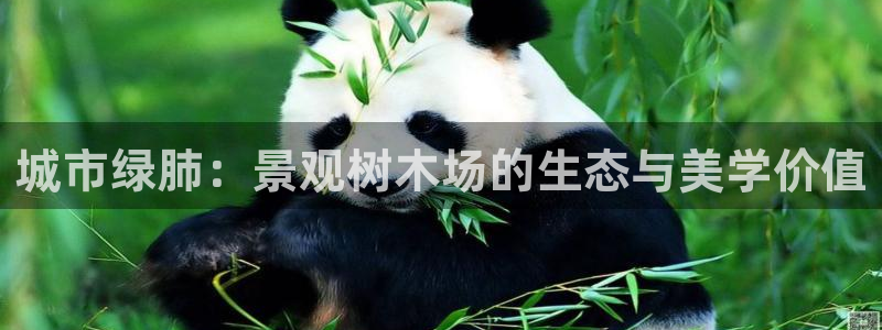 天顺娱乐上级单位是谁啊