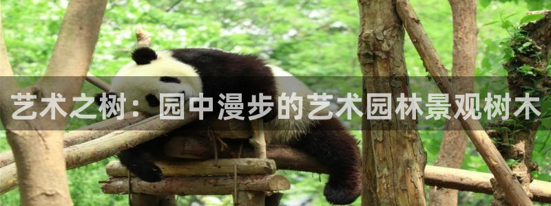 天顺娱乐婪78778卧