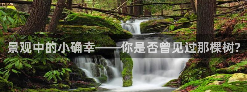 天顺娱乐王74OOO5