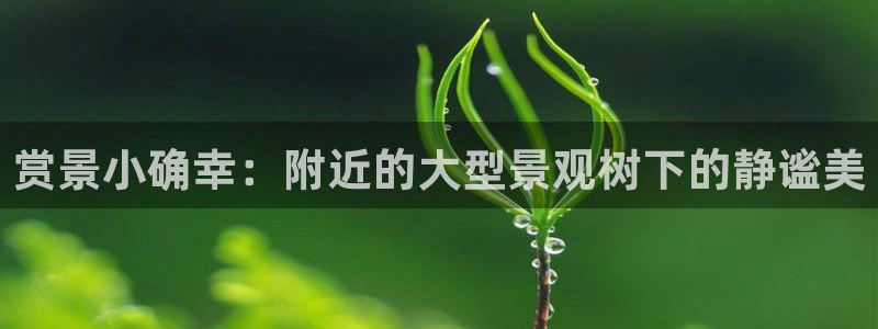 天顺娱乐冉943994