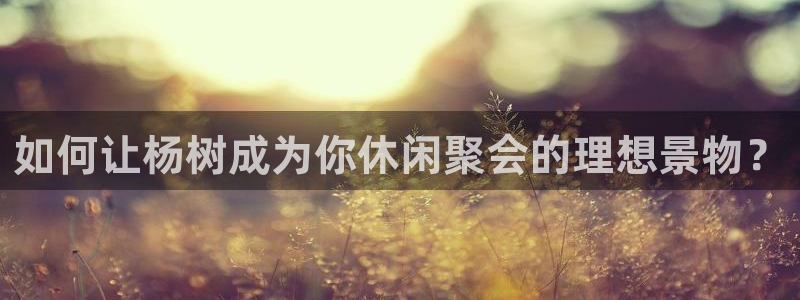 天顺娱乐总代理