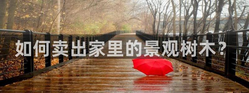 天顺娱乐负责人屮呵pg22650