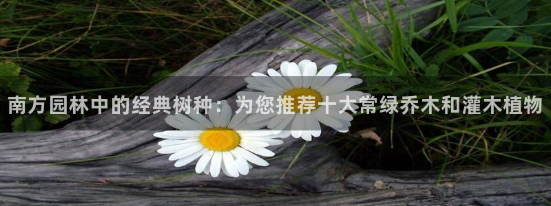 天顺娱乐优秀优质p官58856