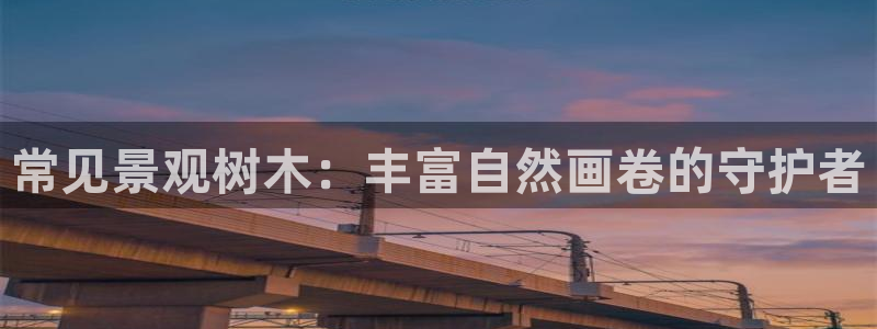 天顺娱乐嫉96303律