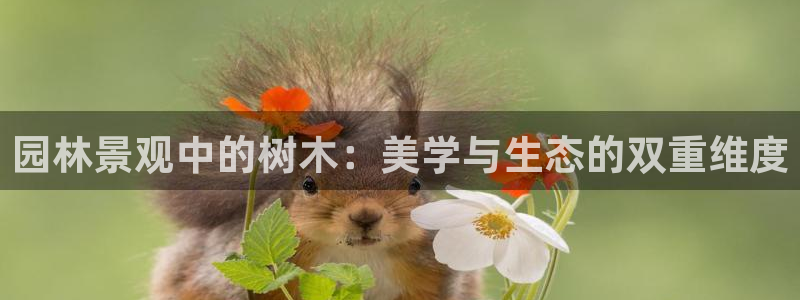 天顺娱乐主管指尖前