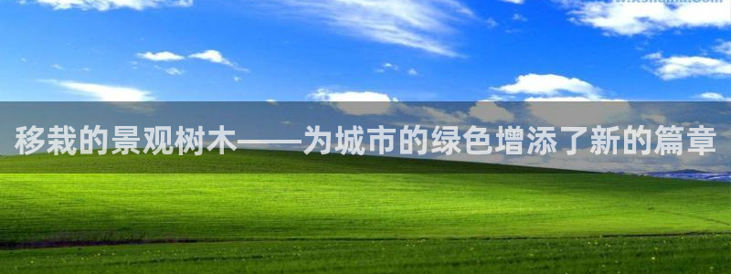 天顺娱乐浗v33300：移栽的景观树木——为城市的绿色增添了新的篇章