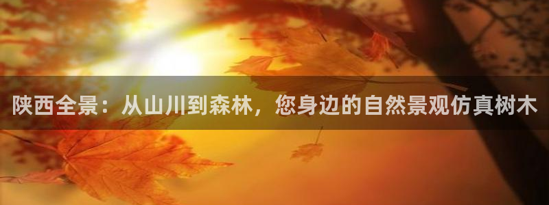天顺娱乐庆貌p官29999
