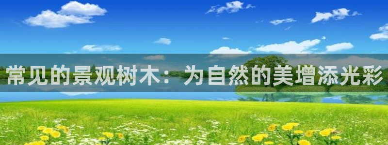 天顺娱乐主管年收入：常见的景观树木：为自然的美增添光彩