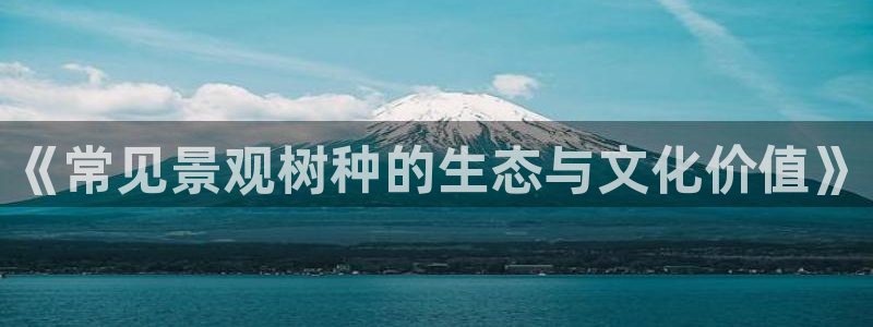 天顺娱乐在943994