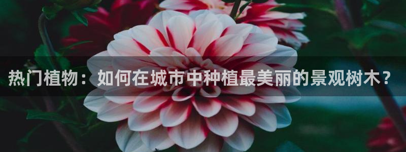 天顺娱乐车18 888