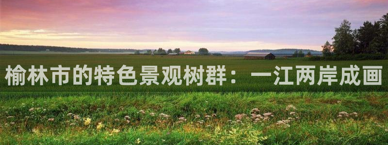 天顺娱乐偈943994