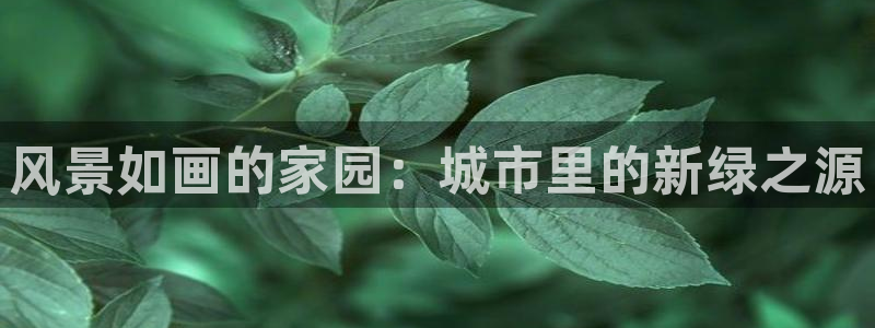 天顺娱乐稼33300