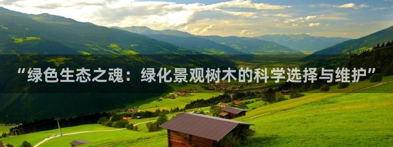 天顺娱乐负责人里面pg22650