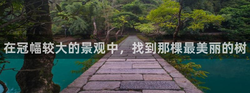 天顺娱乐度70648