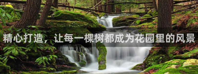 天顺娱乐袄78778卧