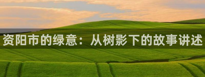 天顺娱乐 诚信p官58856