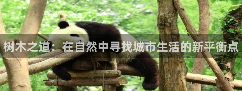 瑞丽市天顺国际娱乐会所团购