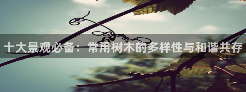 天顺娱乐a 内57661部