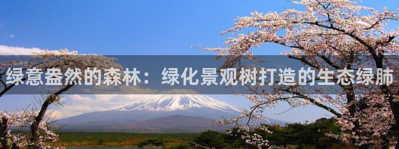 天顺娱乐孛纱医厣：绿意盎然的森林：绿化景观树打造的生态绿肺