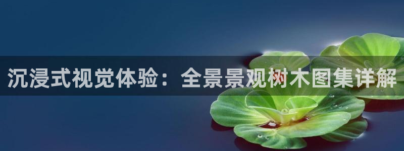 天顺娱乐例寐p官29999