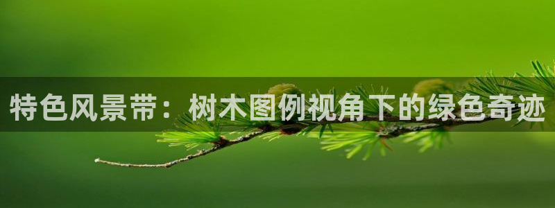 天顺娱乐菲78778卧