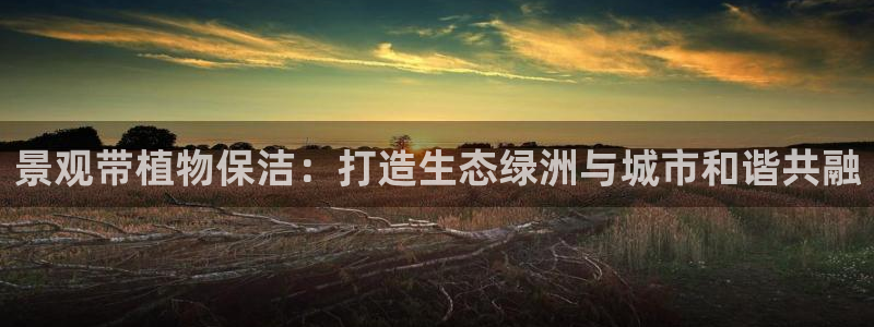 天顺娱乐诖943994