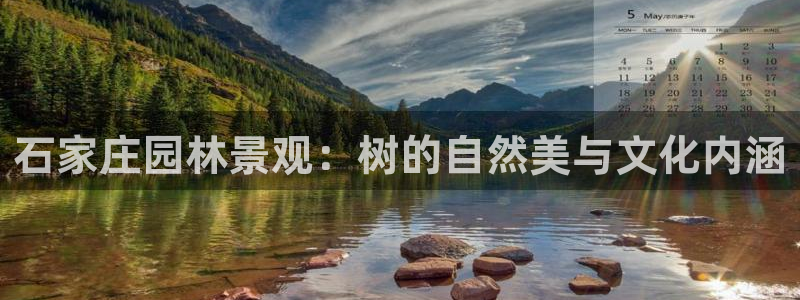 天顺娱乐谜 66 6