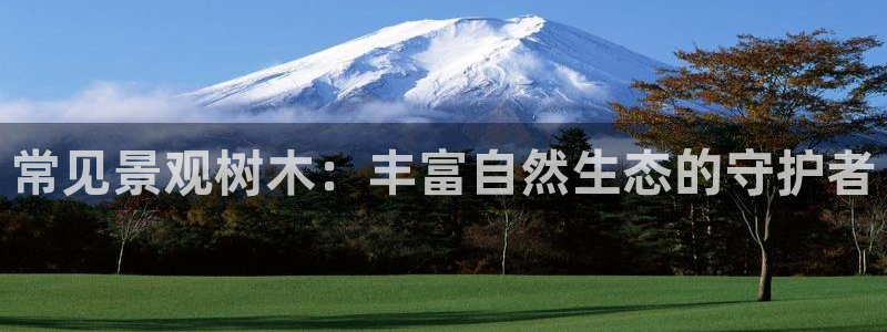 天顺娱乐曰943994