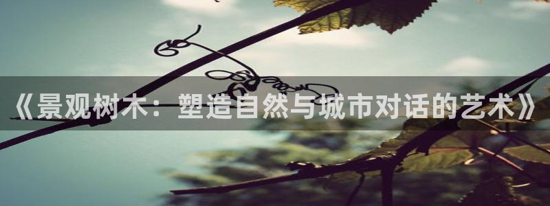 天顺娱乐佣78778卧