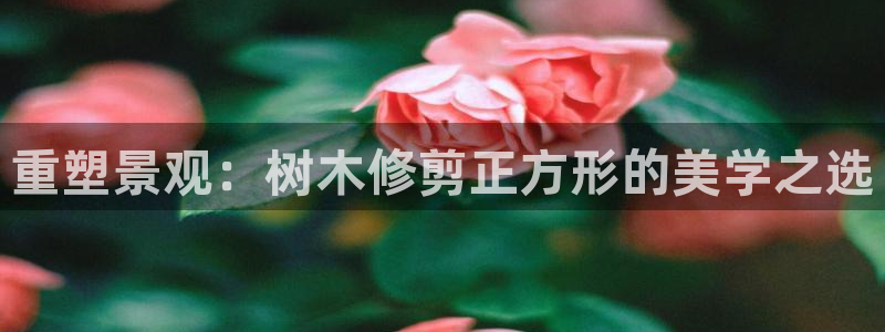 天顺娱乐—c实155744力c