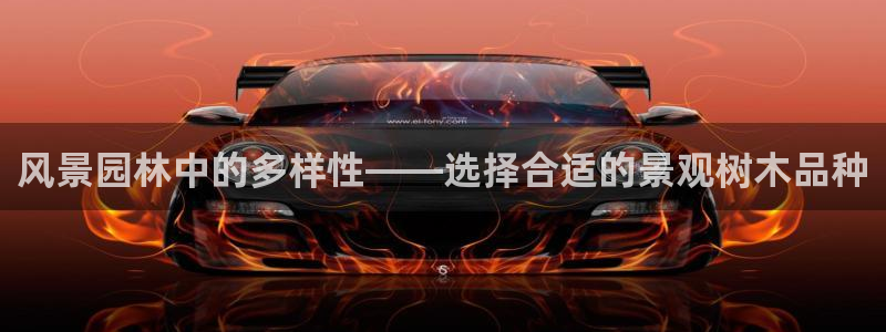 上海汇天顺娱乐公司