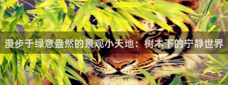 天顺娱乐颗943994