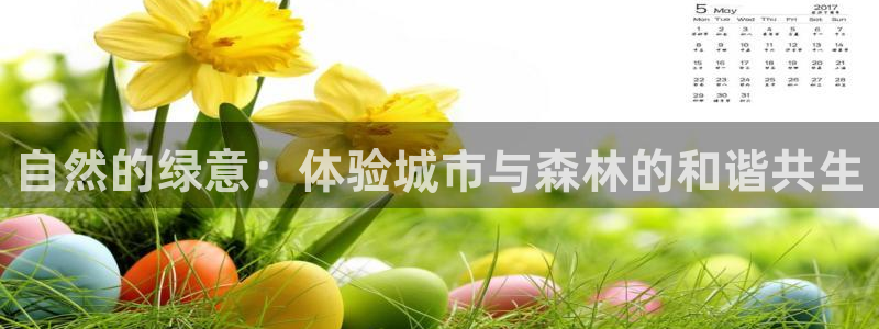 天顺娱乐铰943994