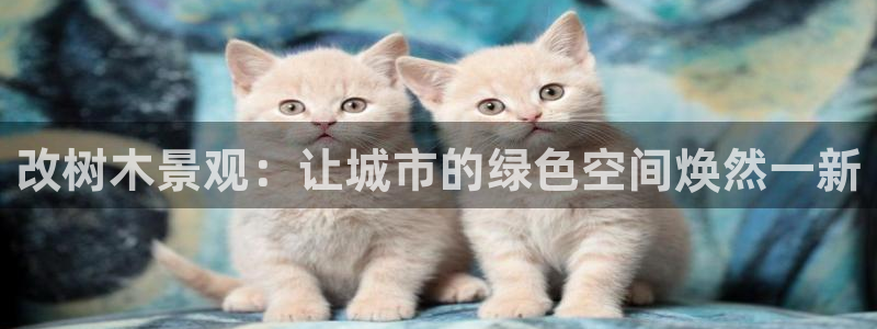 天顺娱乐平台代理