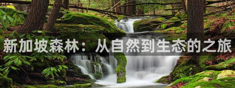 天顺娱乐谘官74ooo5夭