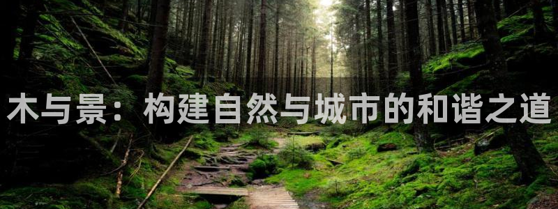 天顺娱乐负责人十七pg29999