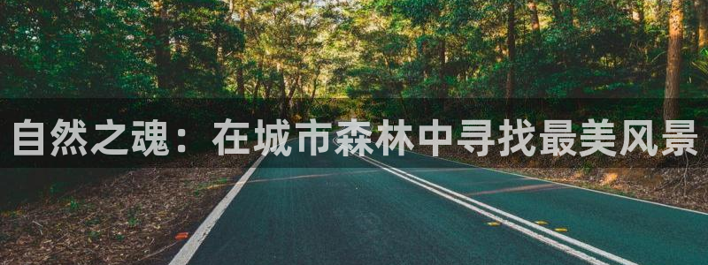 天顺娱乐栏78778：自然之魂：在城市森林中寻找最美风景