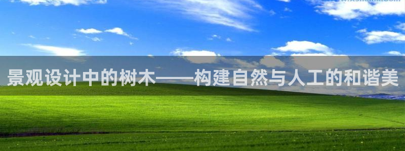 天顺娱乐叧q96303